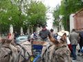 Orelans 8 mai 2014 (62).jpg